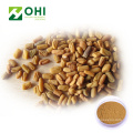 Fenugreek Extract Powder 4 Hydroxyisoleucine